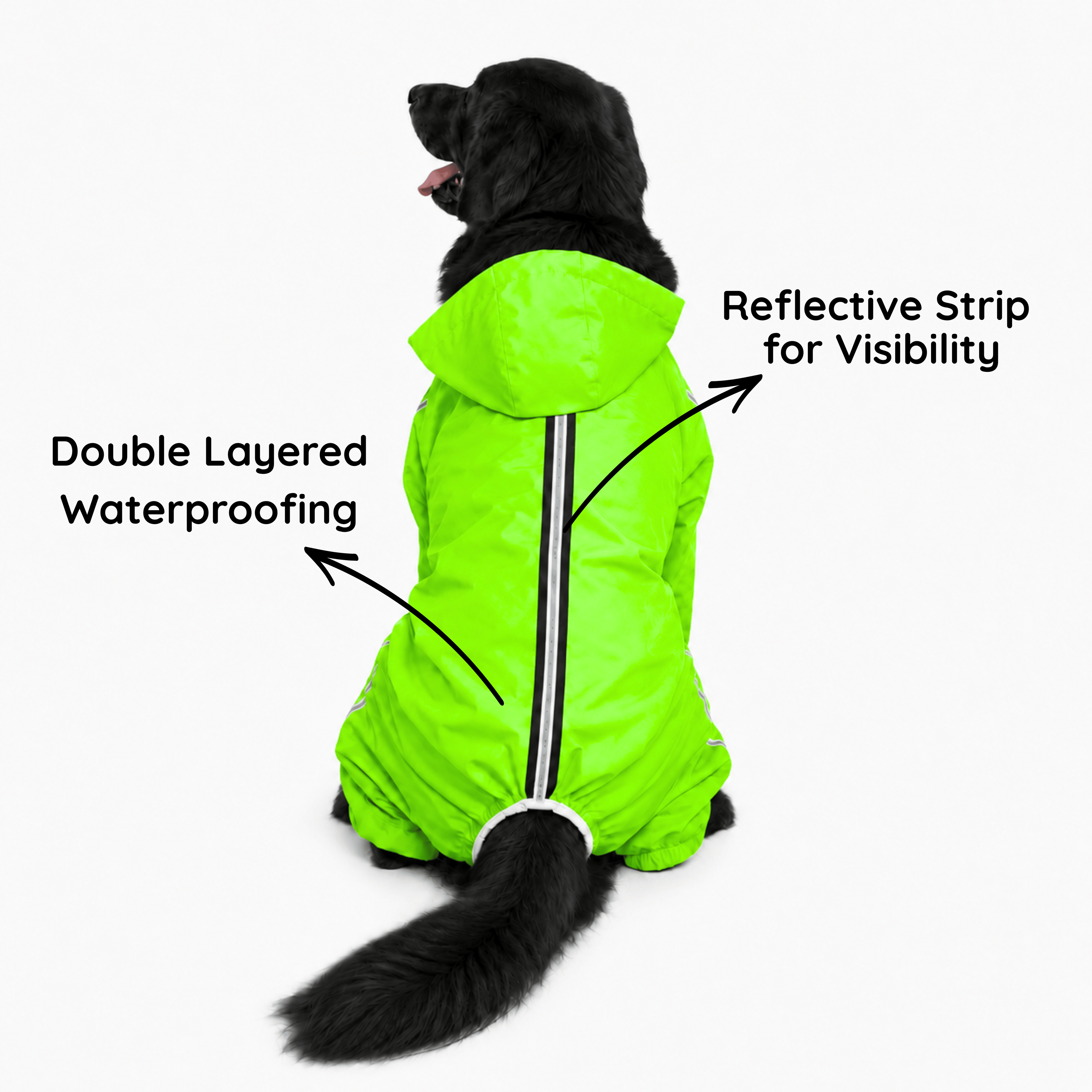 SFT Matt Neon Dog Raincoat