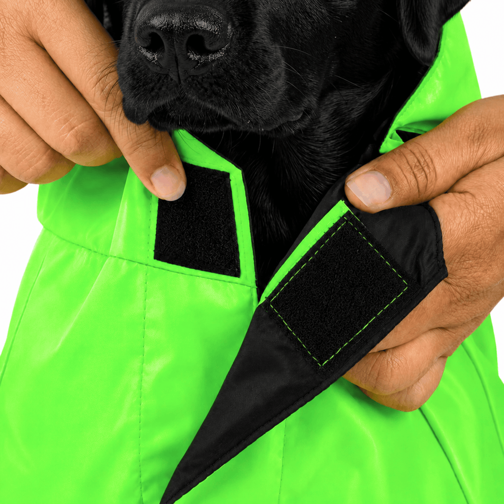 SFT Matt Neon Dog Raincoat