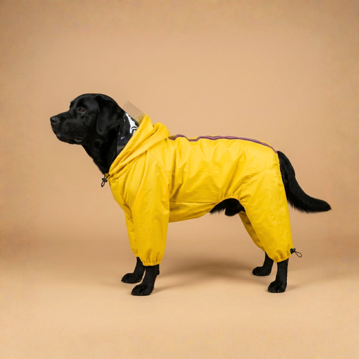 SFT Waterproof Dog Raincoat – Full Body Monsoon Coat (Matt Yellow)