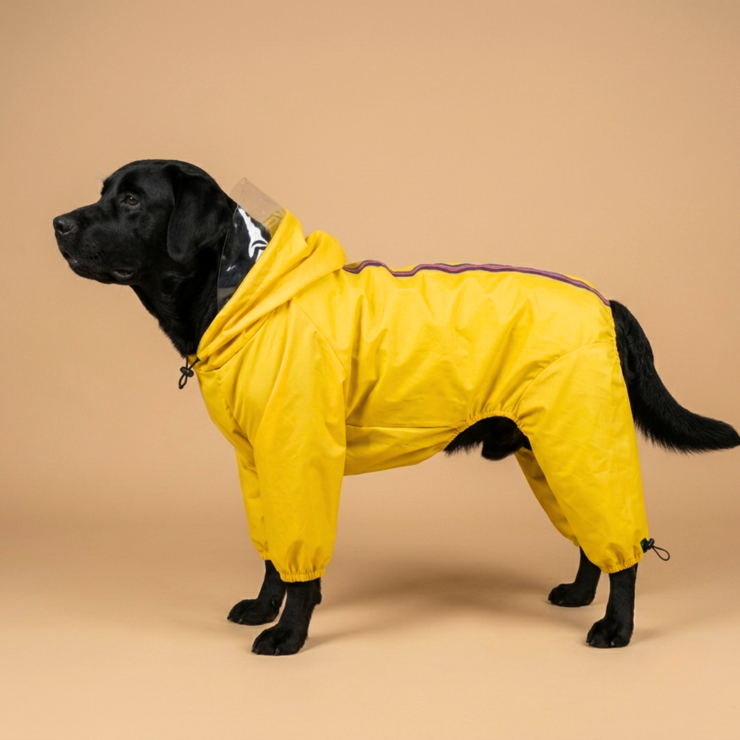 SFT Matt Yellow Dog Raincoat