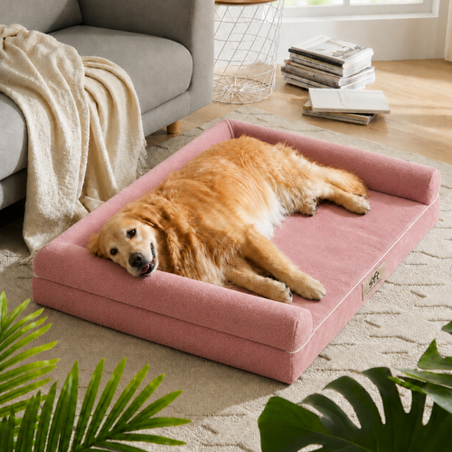 SFT C-Arc Orthopedic Sofa Bed - Rose Gold