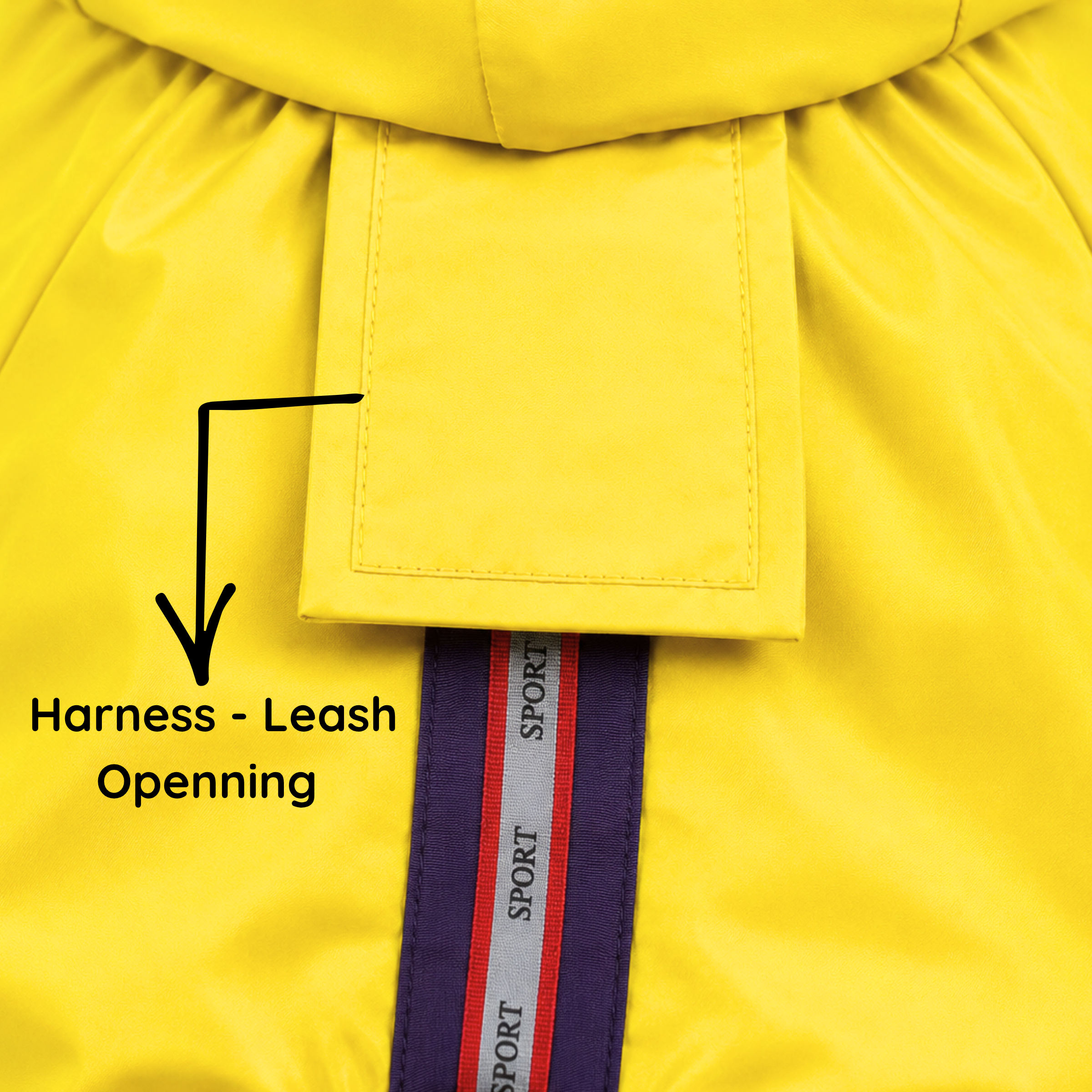 SFT Matt Yellow Dog Raincoat