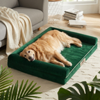 SFT C-Arc Orthopedic Dog Sofa Bed – Waterproof & Washable (Moss Green)