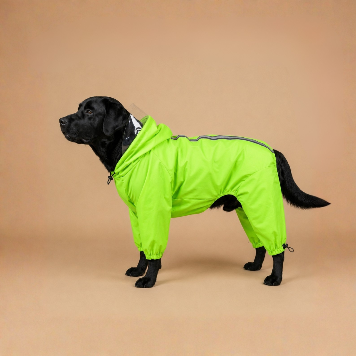 SFT Waterproof Dog Raincoat – Full Body Monsoon Coat (Matt Neon)