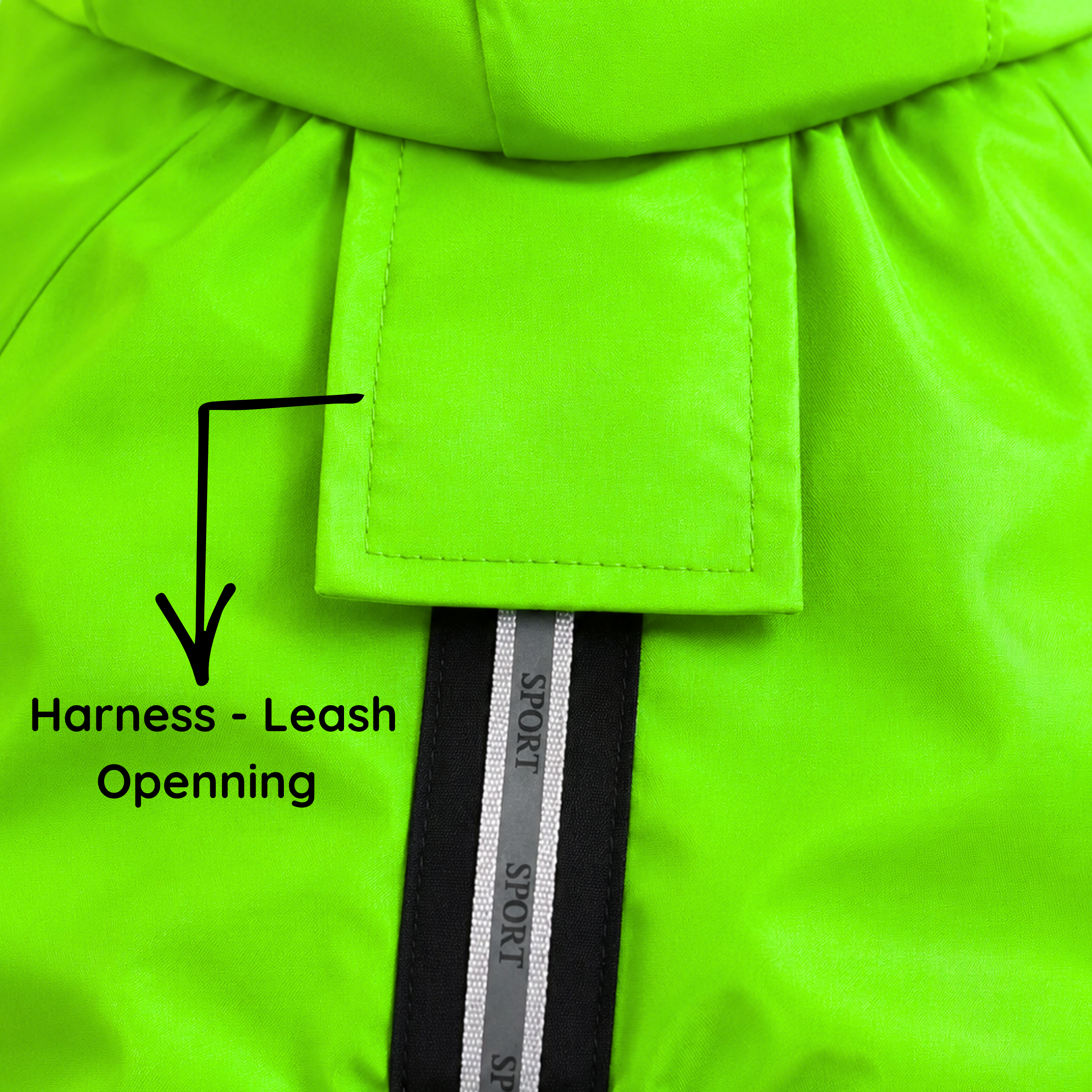SFT Matt Neon Dog Raincoat