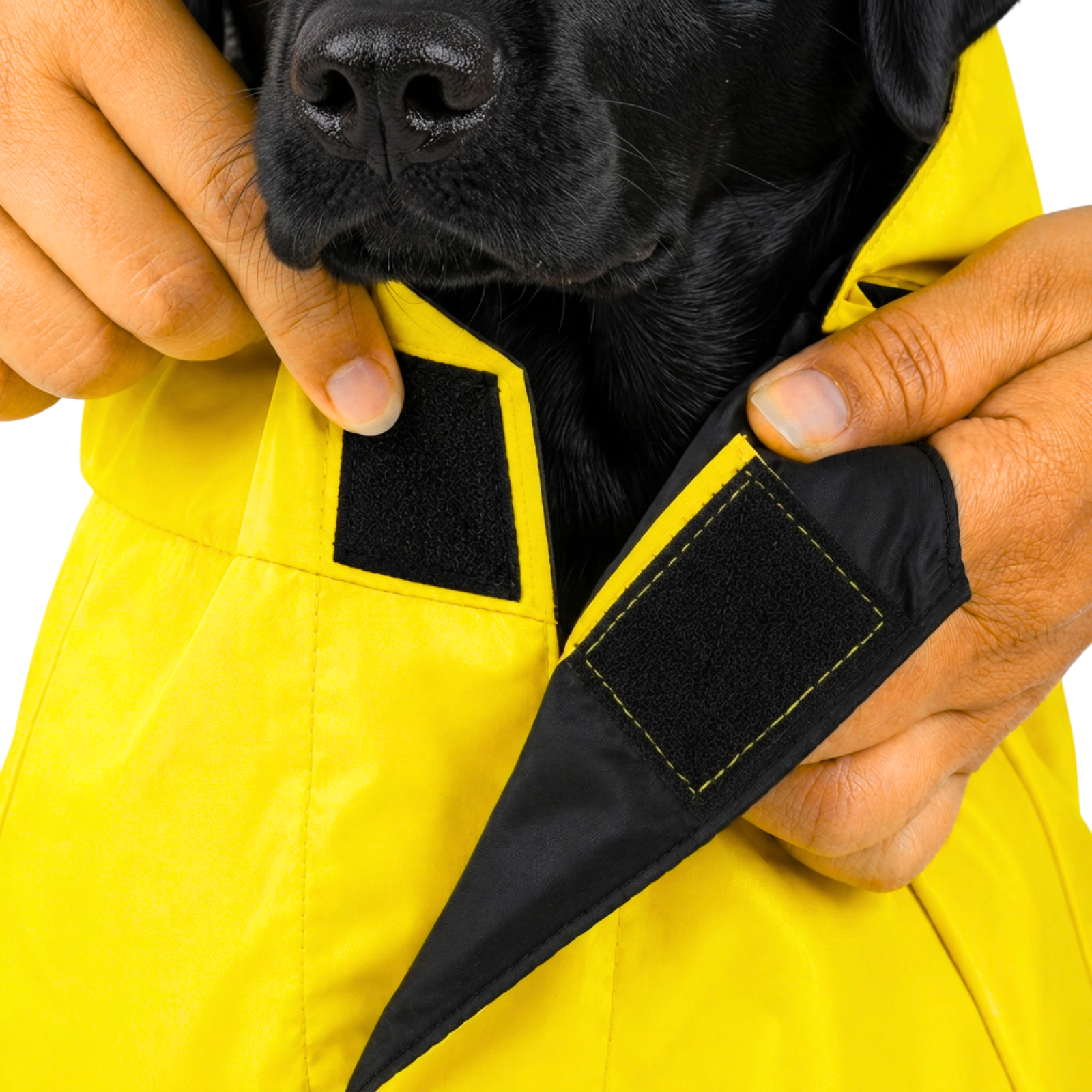SFT Matt Yellow Dog Raincoat