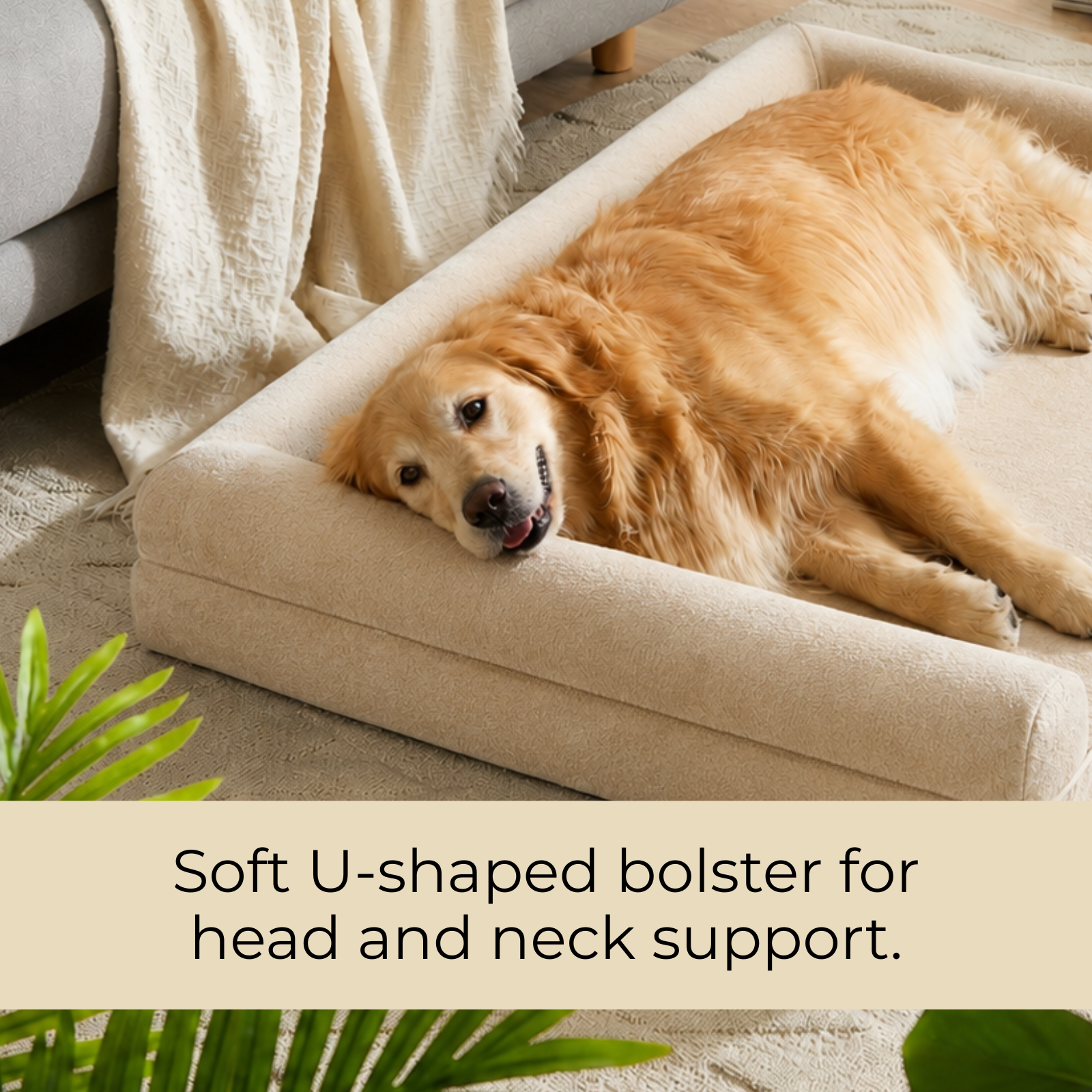 SFT C-Arc Orthopedic Sofa Bed