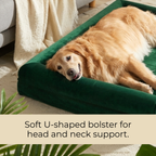 SFT C-Arc Orthopedic Dog Sofa Bed – Waterproof & Washable (Moss Green)