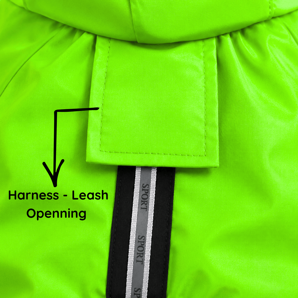 SFT Matt Neon Dog Raincoat