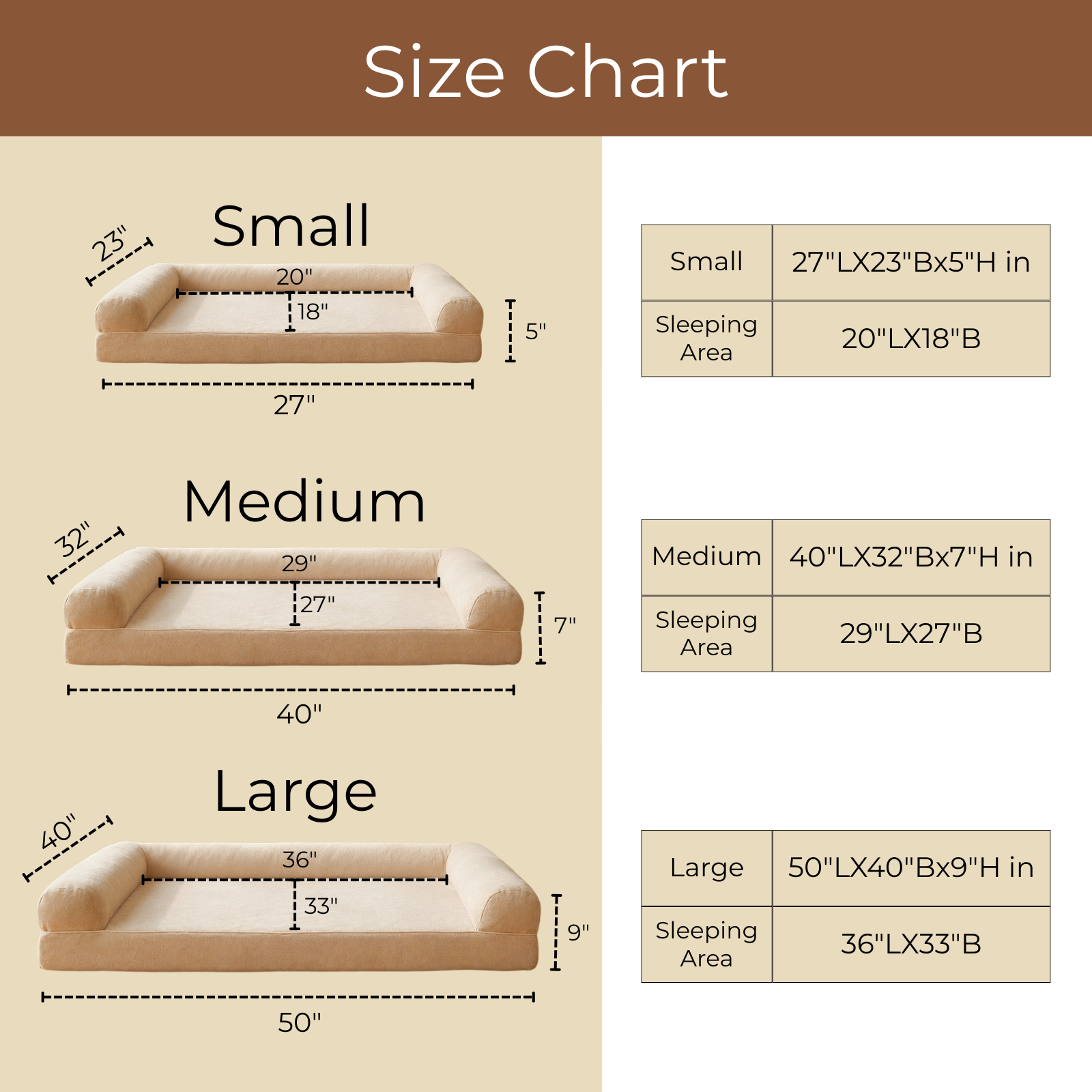 SFT C-Arc Orthopedic Sofa Bed
